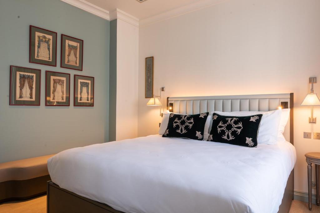 Standard Suite - Image 1