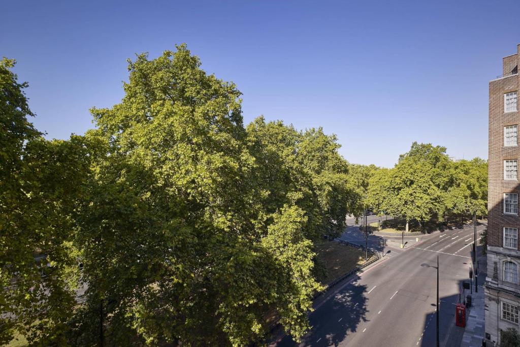 Premium Park View Suite, 1 King - Image 4