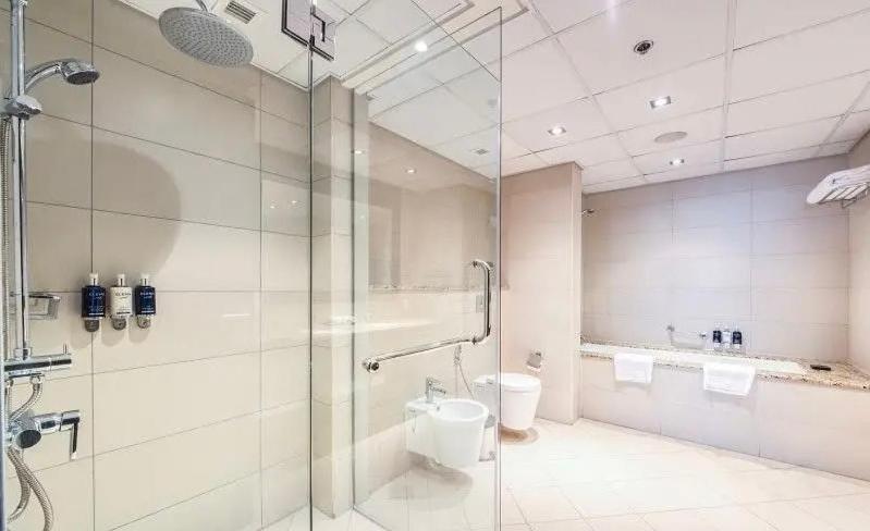 Deluxe One-Bedroom Apartment with Ocean View - Image 13