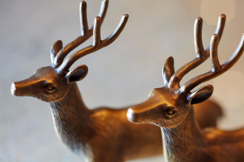 Hyde Park Junior Suite - Image 4