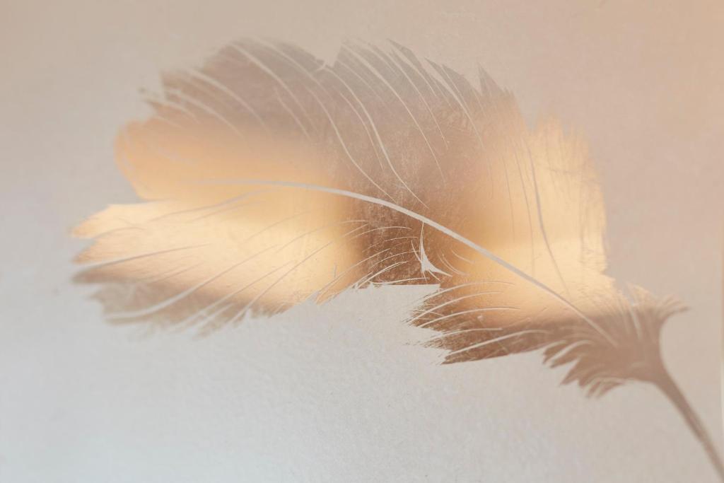 Turret Suite - Image 4