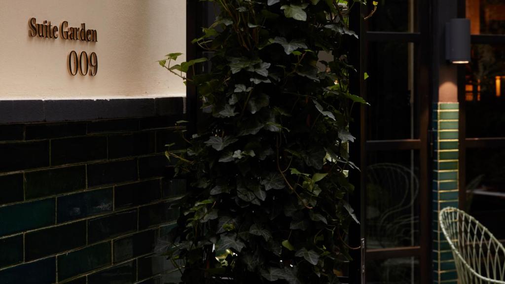 Garden Suite - Image 3