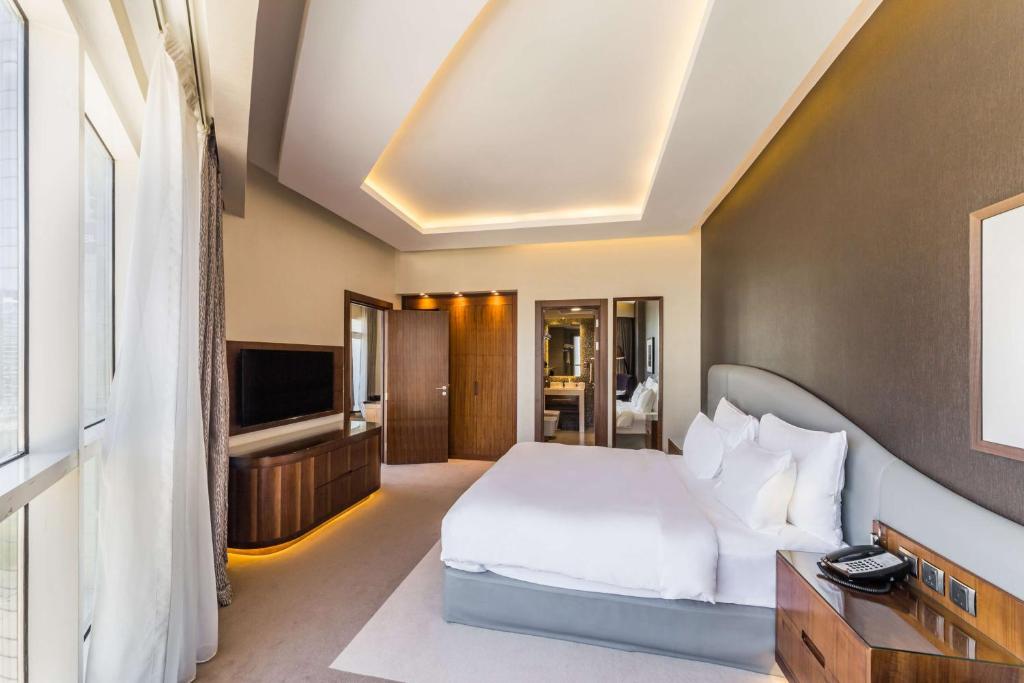 Suite with Lounge Access - Image 7